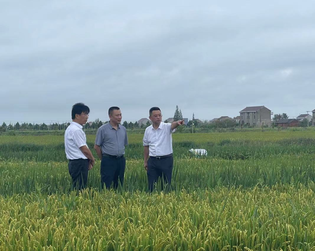 微信图片_20230922181715.png